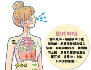 声乐的呼吸